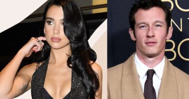 AŞK İHANETİNİN ARDINDAKİ DEDEKTİF DOSYASI: DUA LIPA EŞİNİN VANESSA KIRBY İLE OLAN SIR DOLU GEÇMİŞİNİ ÖĞRENDİĞİNDE ŞOK OLDU!