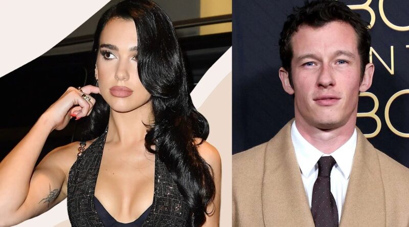 AŞK İHANETİNİN ARDINDAKİ DEDEKTİF DOSYASI: DUA LIPA EŞİNİN VANESSA KIRBY İLE OLAN SIR DOLU GEÇMİŞİNİ ÖĞRENDİĞİNDE ŞOK OLDU!
